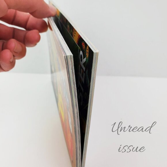 DicE Magazine Issue 31 Motorcycle Choppers March / April 2010 Unread - Picture 5 of 12